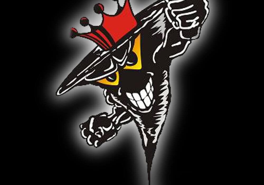 2015-NMHS-Fall-Sports-Review